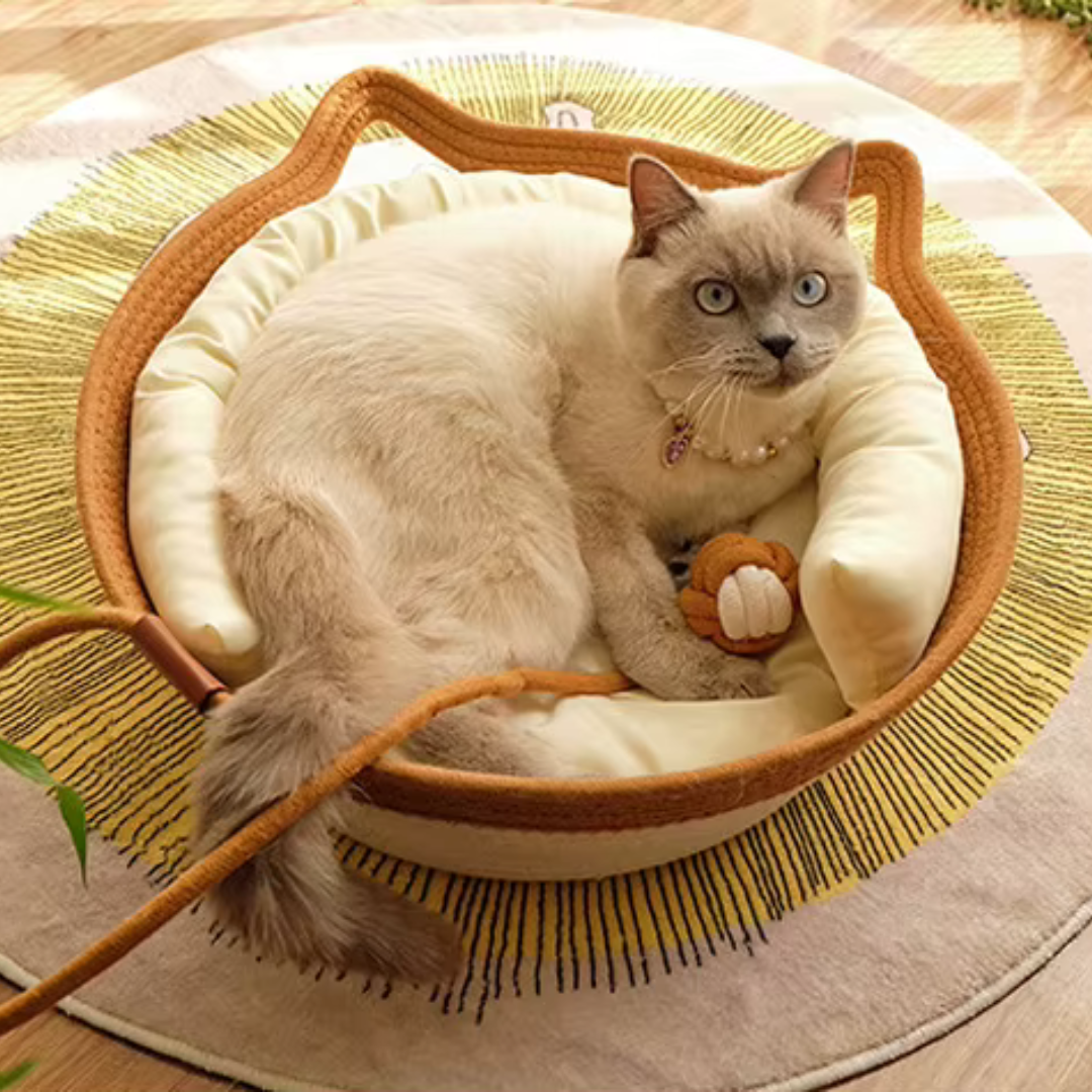 🐾 Rattan-Katzennest