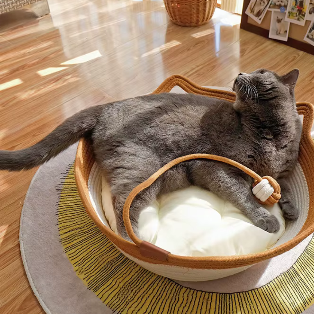 🐾 Rattan-Katzennest
