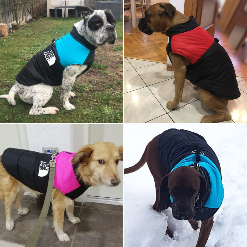 "The Dog Face" Winter Hundejacke – Warm, Stylisch, Kultig
