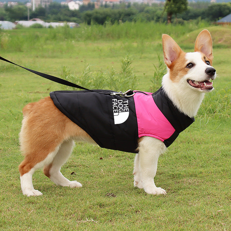 "The Dog Face" Winter Hundejacke – Warm, Stylisch, Kultig