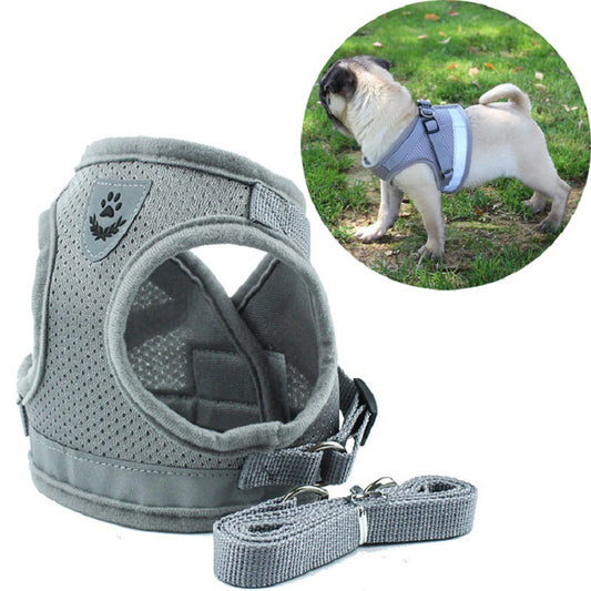 🐾Trendiges Brustgeschirr für Hunde – Komfort, Kontrolle & Sicherheit vereint!