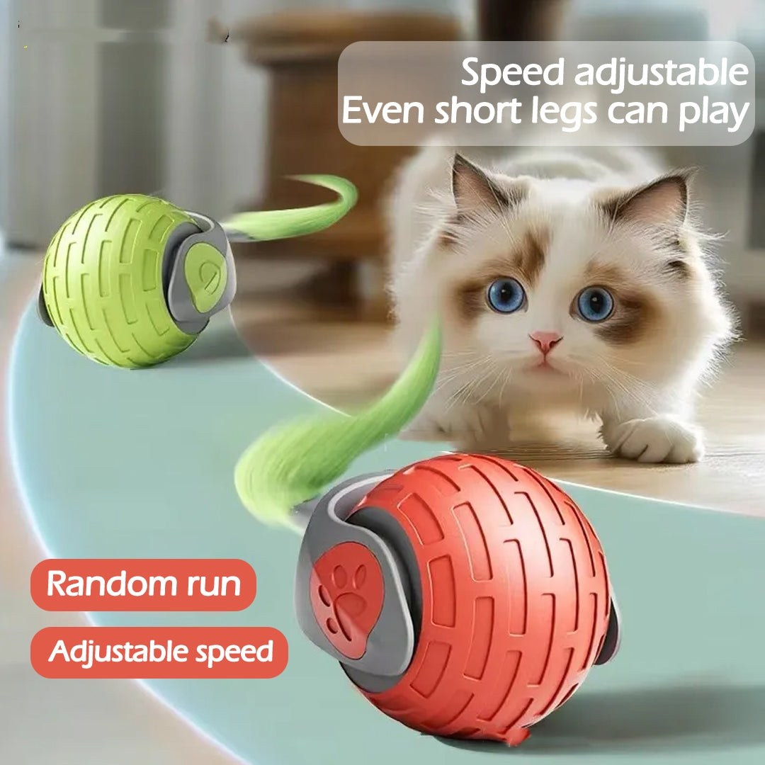 Interaktiver Auto-Rolling Katzenball – Smart USB Spielzeug für Katzen & Kätzchen