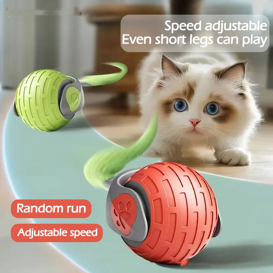 Interaktiver Auto-Rolling Katzenball – Smart USB Spielzeug für Katzen & Kätzchen