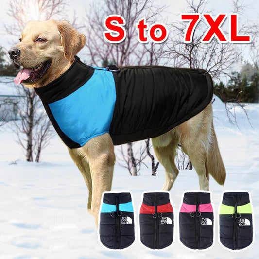 "The Dog Face" Winter Hundejacke – Warm, Stylisch, Kultig