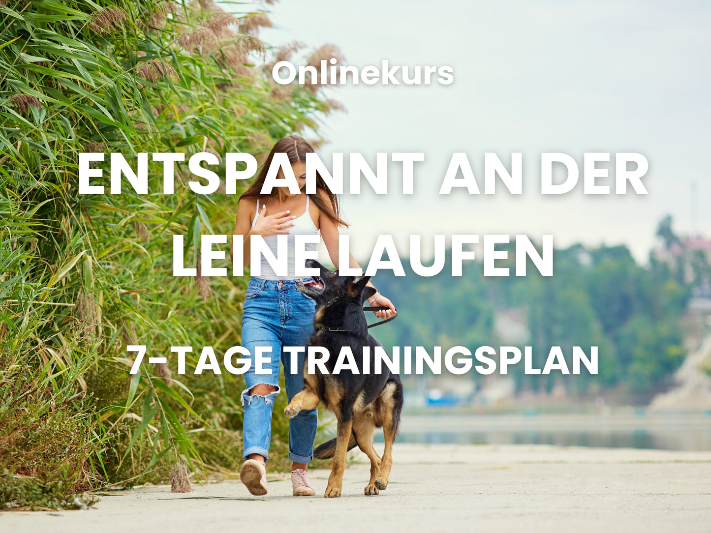 Onlinekurs: Entspannt an der Leine laufen – 7 Tage Trainingsplan