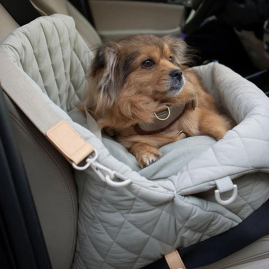 🐾Luxury 2-in-1 Tragetasche & Autositz!